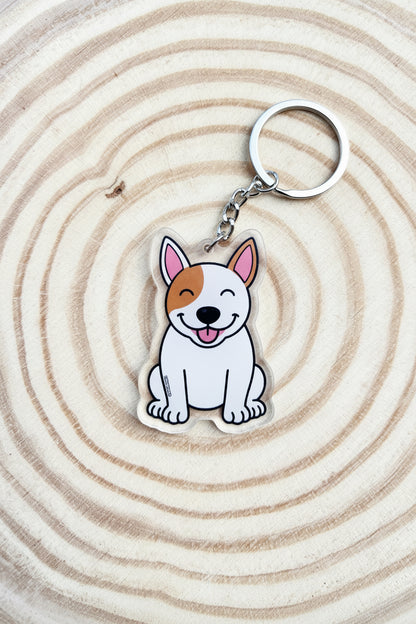 English Bull Terrier White