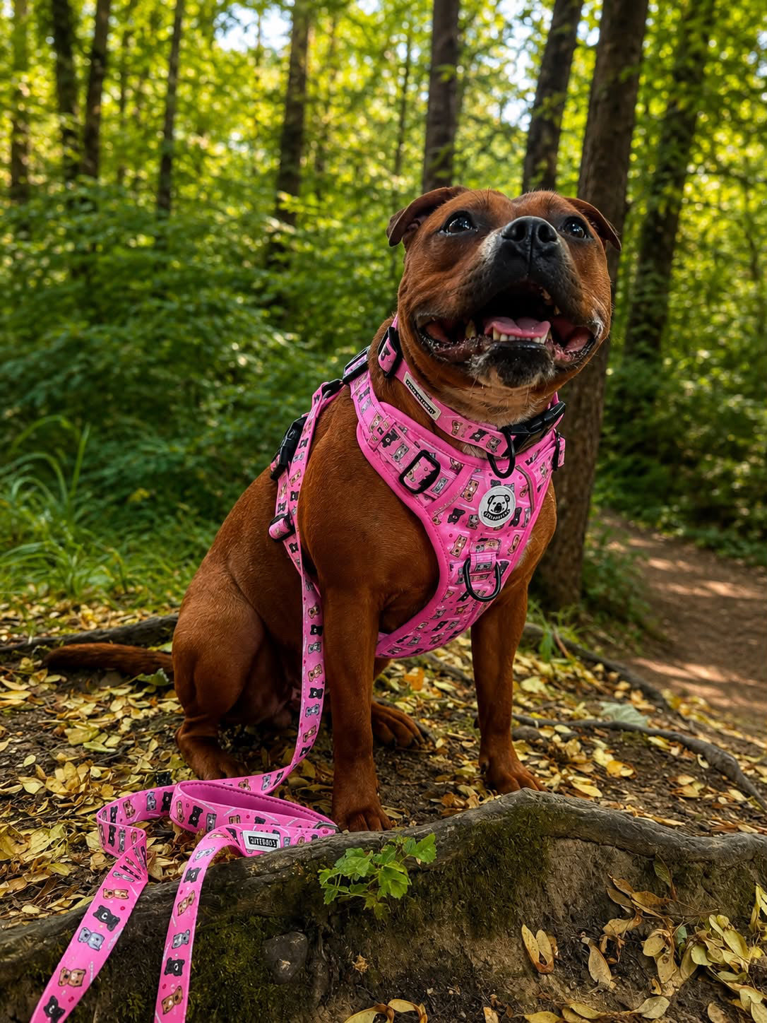 LOVEABULL®  Pink Harness