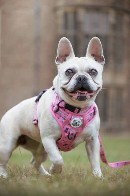 LOVEABULL®  Pink Harness