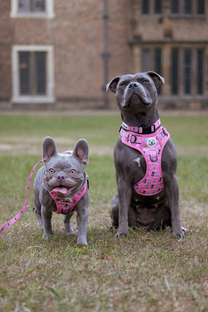 LOVEABULL®  Pink Harness